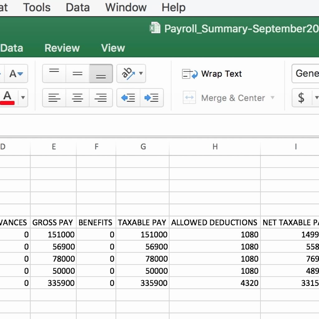 Excel Payroll Template 2019 Beautiful Payroll Report Template Excel Summary Invoice Templates