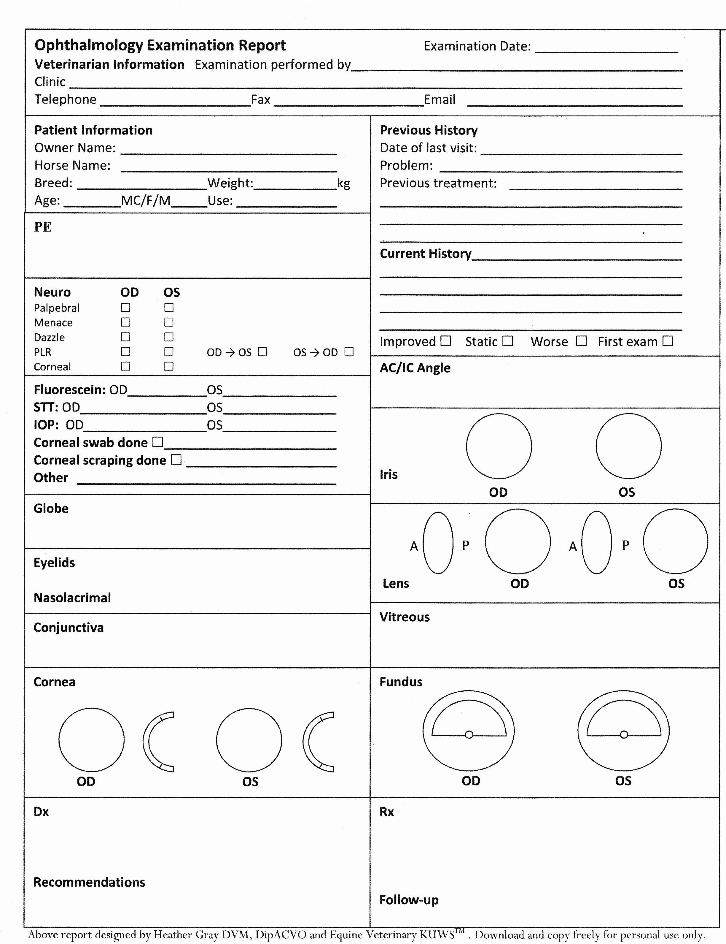 Eye Exam forms Template Elegant Ophthalmology Exam Report