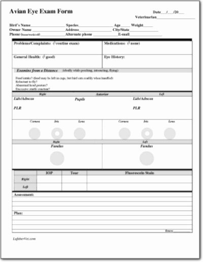 Eye Exam forms Template Inspirational Avian Eye Exam form 1