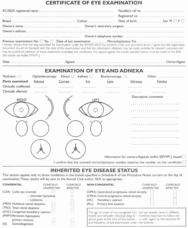 Eye Exam forms Template Lovely 25 Of Eye Test Template