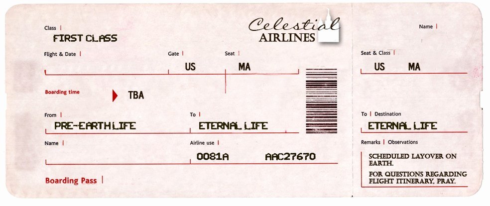 Fake Airline Ticket Generator Luxury Blank Tickets American Airlines