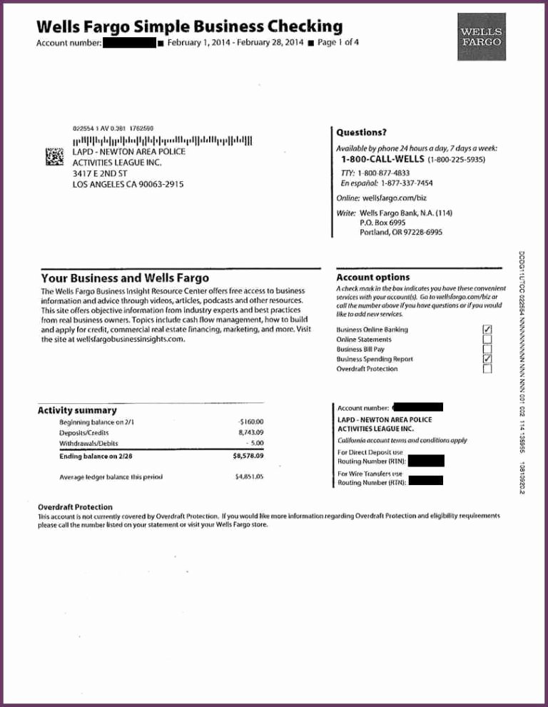 Fake Bank Statements Templates Download Luxury Fake Bank Statements Templates Download