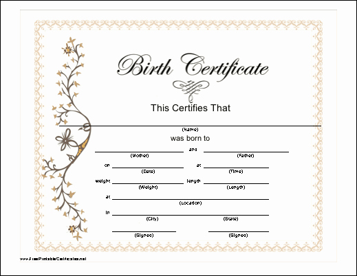 Fake Birth Certificate Template Inspirational A Pretty Pink Bordered Birth Certificate for A Baby Girl