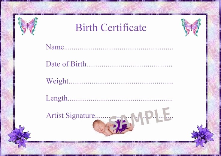 Fake Birth Certificate Template New Best 25 Birth Certificate Ideas On Pinterest