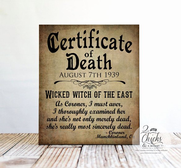 Fake Obituary Maker New Sample Death Certificate Template – 11 Free Word Pdf