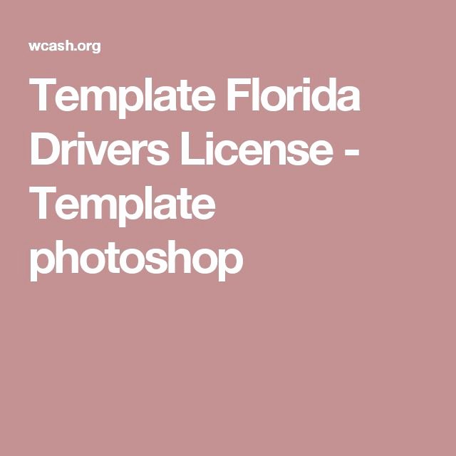 Fake Police Ticket Generator Lovely Florida Drivers License Template Sevennic