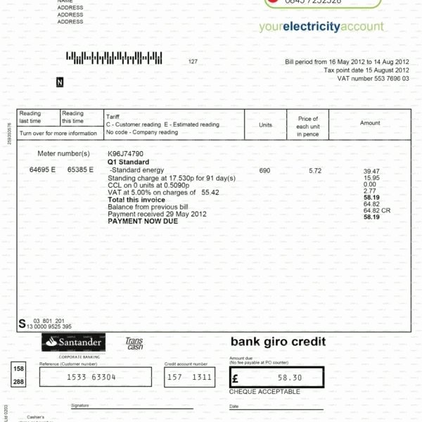 Fake Utility Bill Template Awesome Utility Statement southern Electric