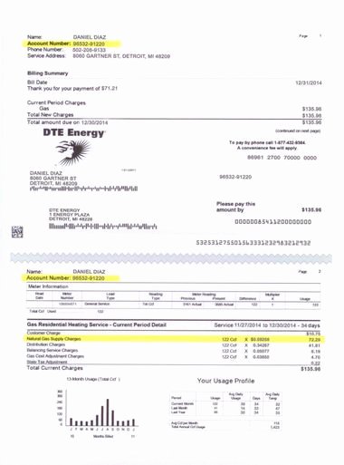 Fake Utility Bill Template New 299 Best Fake Documents Images On Pinterest