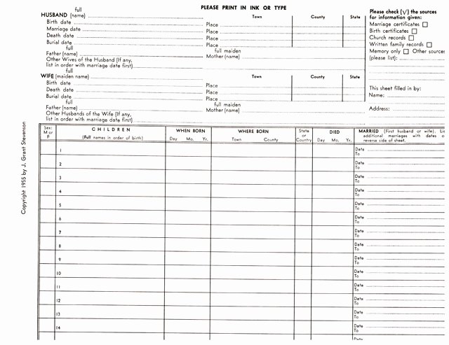 Family Group Template Lovely Family Group with sources Of Information Sheet