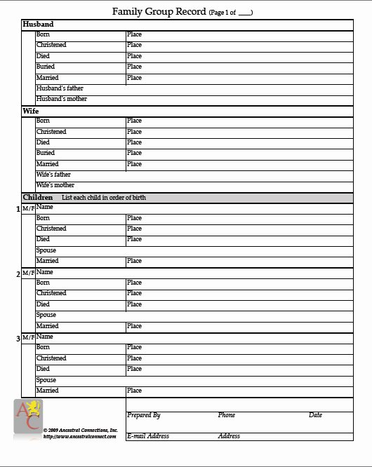 Family Group Template Unique 25 Of Family Group Record Template