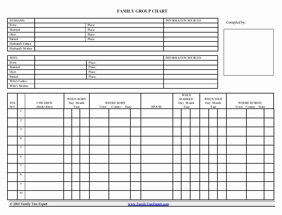 Family Group Template Unique 5 Best Of Fillable Ancestry Charts Blank Family