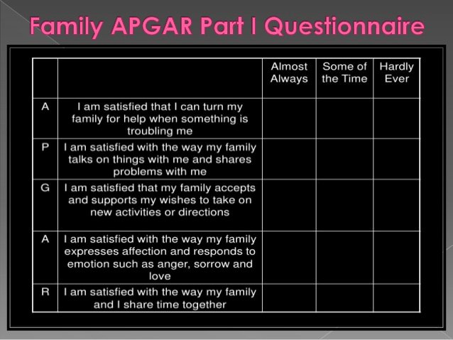 Family Needs assessment New Family tools Plete