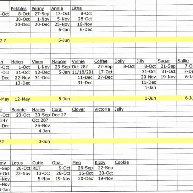 Farm Record Keeping Excel Template Elegant Farm Record Keeping Spreadsheets – Myfountainonline