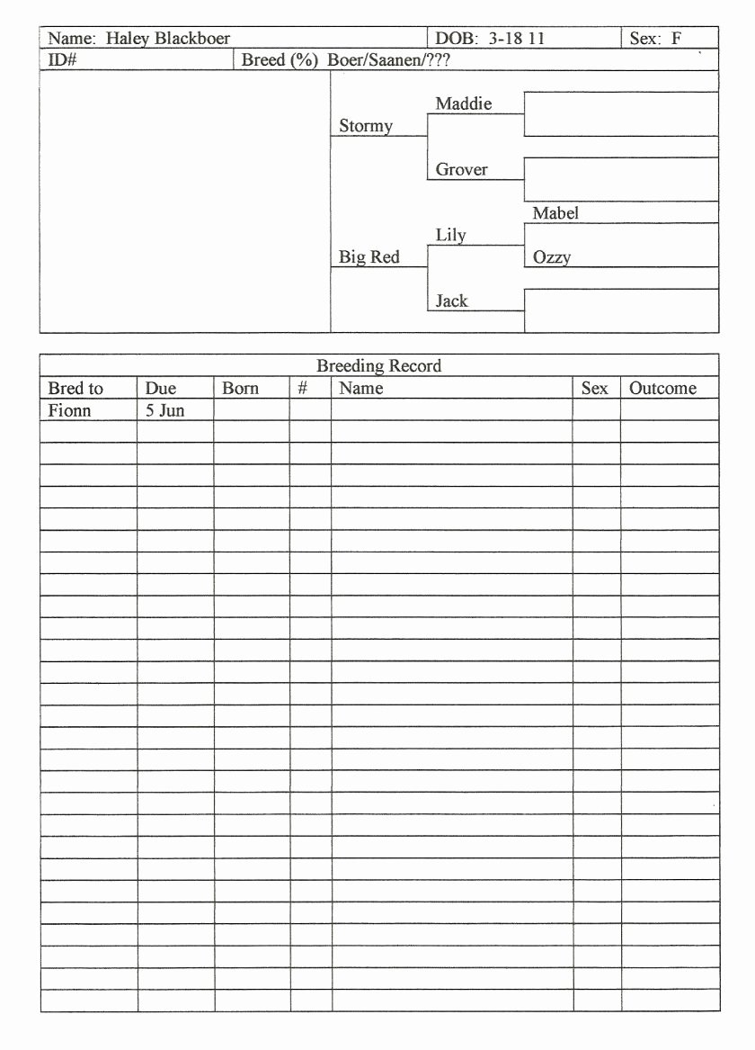 Farm Record Keeping Excel Template Fresh Cattle Record Keeping Spreadsheet as Free O