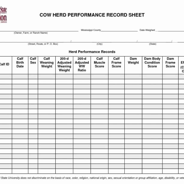 Farm Record Keeping Excel Template Fresh Farm Record Keeping Spreadsheets