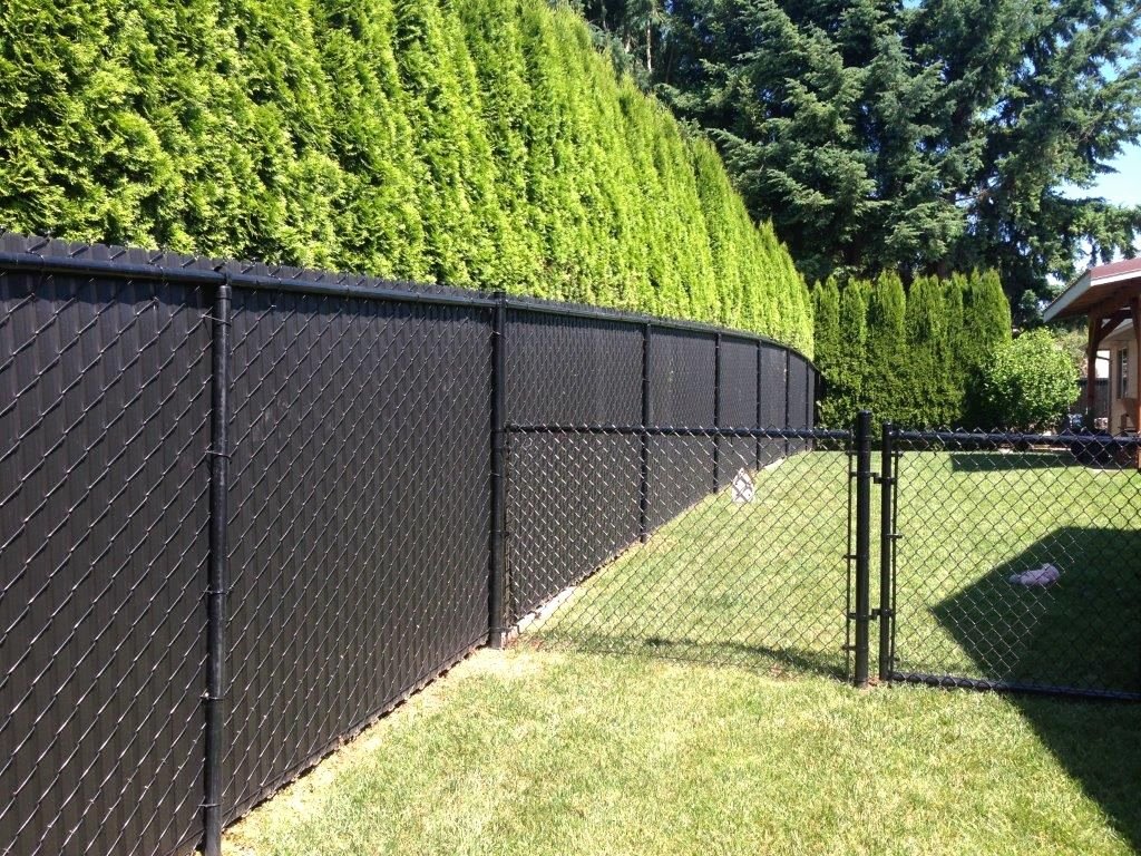 Fence Cup Design Template Lovely Option for Chain Link Fence Covering Ideas