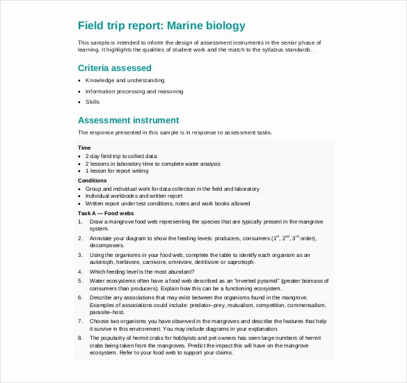 Field Report Example New 21 Sample Trip Report Templates Word Pdf Google Docs