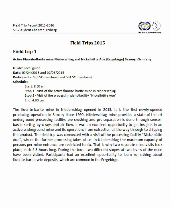 Field Report Template Awesome 14 Sample Trip Reports Word Apple Pages Google Docs Pdf