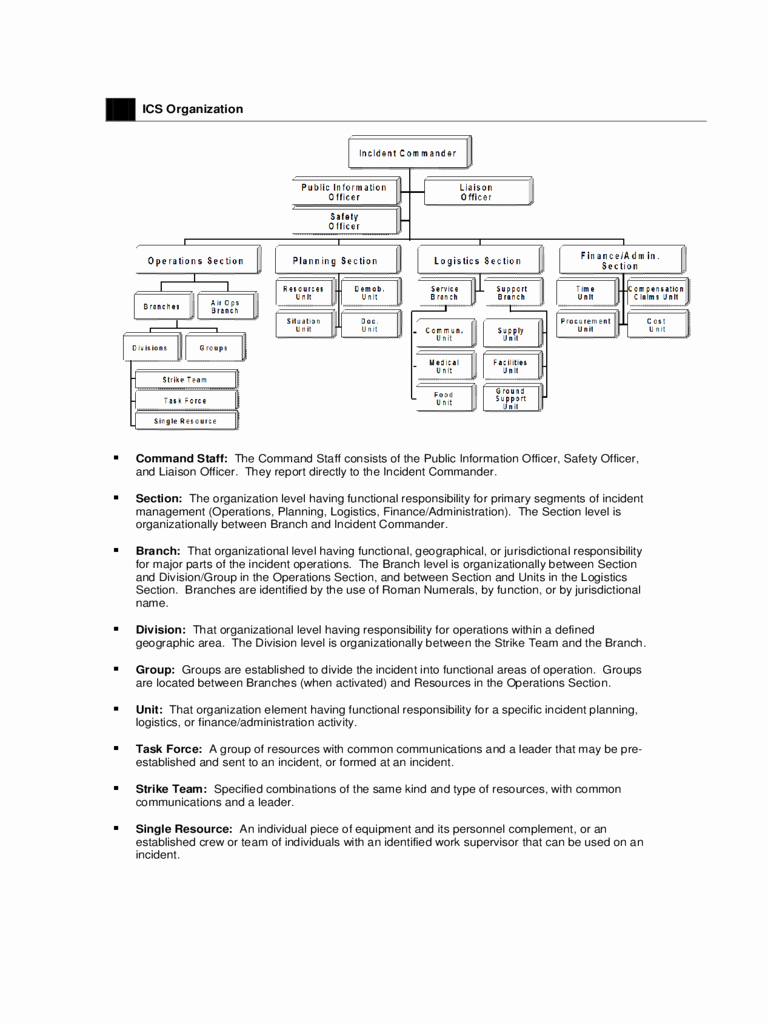 Fillable organizational Chart Awesome 2019 Ics organizational Chart Fillable Printable Pdf