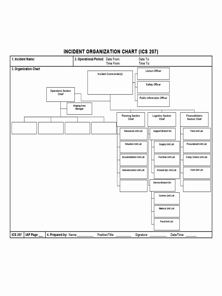 Fillable organizational Chart Beautiful 2019 Ics organizational Chart Fillable Printable Pdf