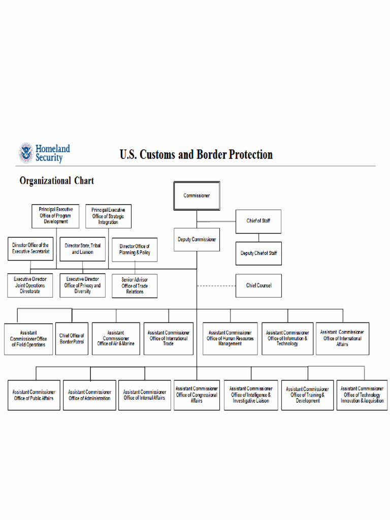 Fillable organizational Chart Best Of 2019 Dhs organizational Chart Fillable Printable Pdf