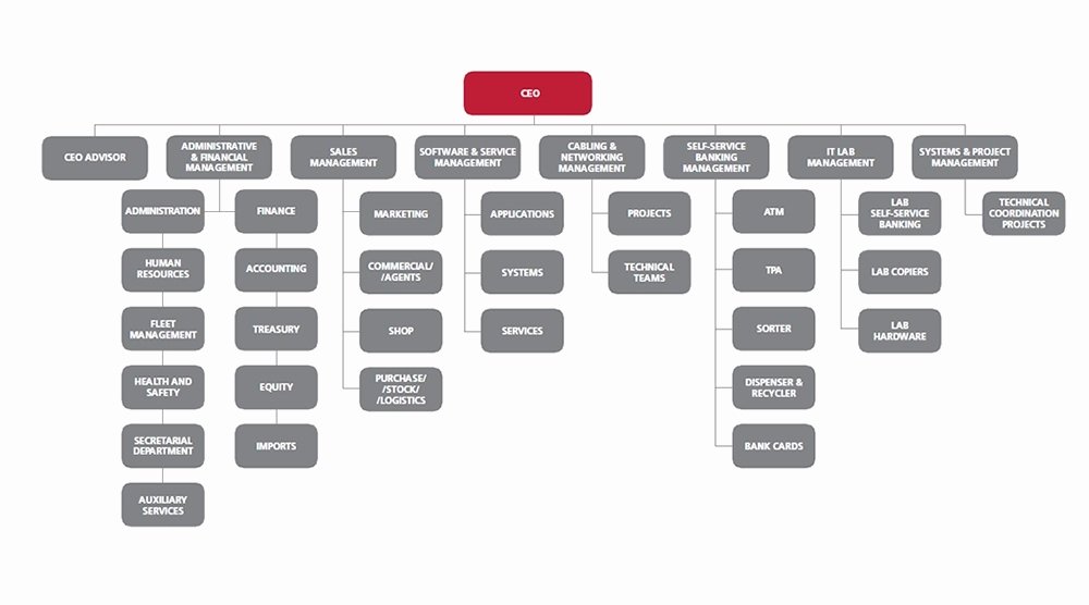 Fillable organizational Chart Luxury Fillable organizational Chart Reverse Search