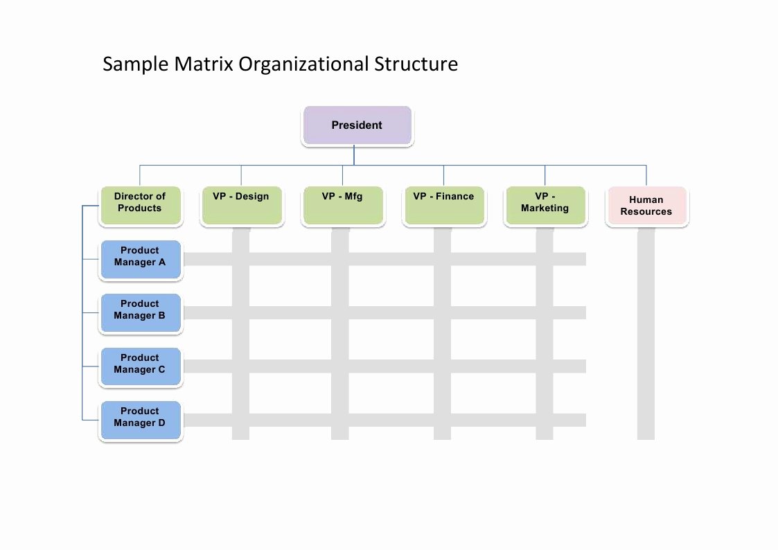 Fillable organizational Chart New 28 Of organizational Chart Template to Fill