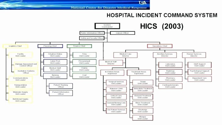 Fillable organizational Chart Unique Blank Ics Flow Chart Sample Ics organizational Chart 8