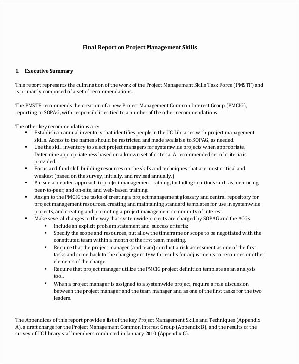 Final Project Report Sample Awesome 16 Sample Project Management Reports Word Apple Pages