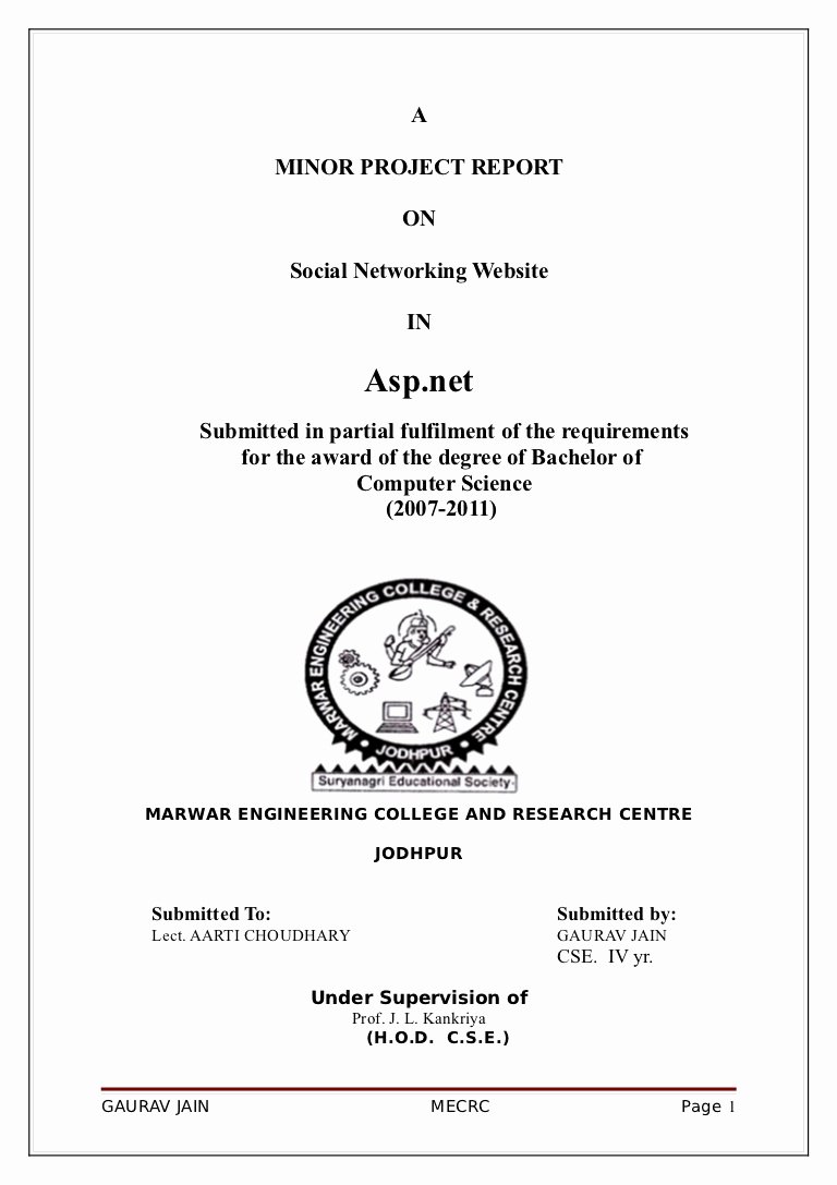 Final Project Report Sample Inspirational Final Project Report