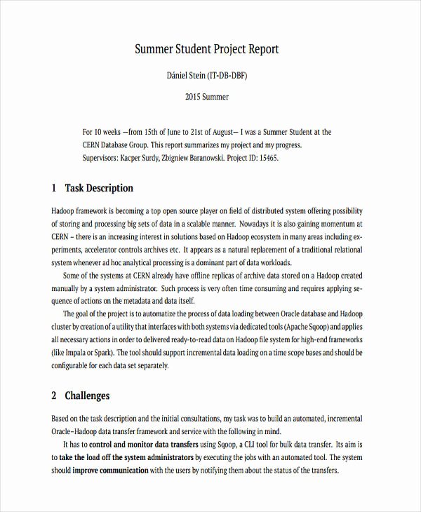 Final Project Report Sample Luxury Sample Of A Project Report