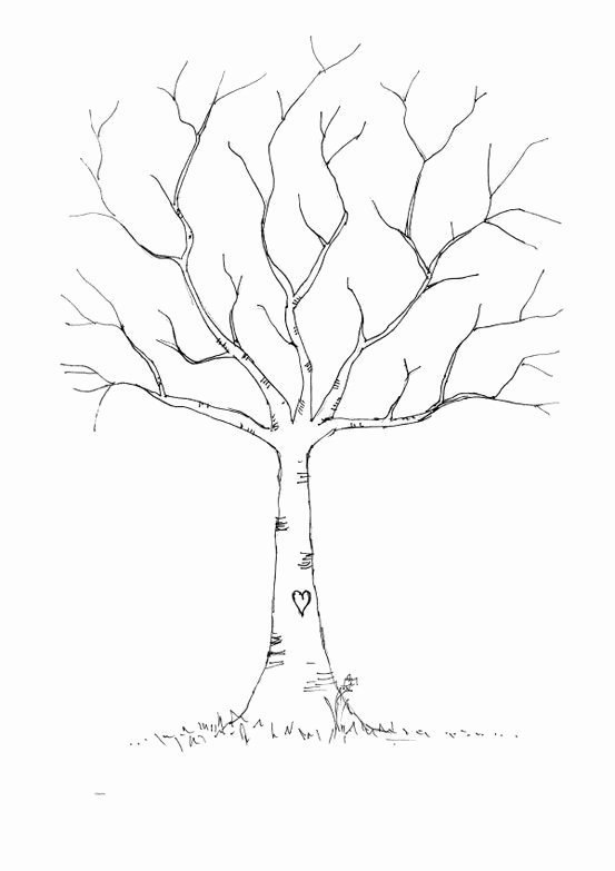 Fingerprint Trees Templates New 553×783 Pixels for the Boy