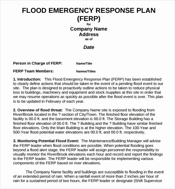 Flood Emergency Response Plan Template Best Of 10 Emergency Response Plan Templates