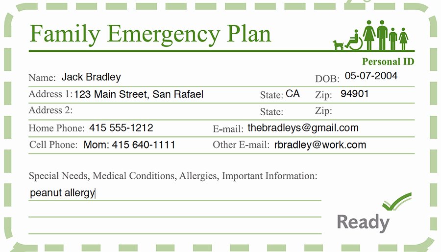 Flood Emergency Response Plan Template New Cover Template Category Page 1 Spelplus