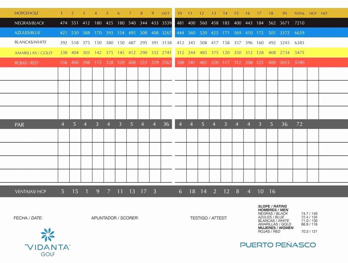 Football Stats Sheet Excel Template Lovely Golf Stats Excel Template