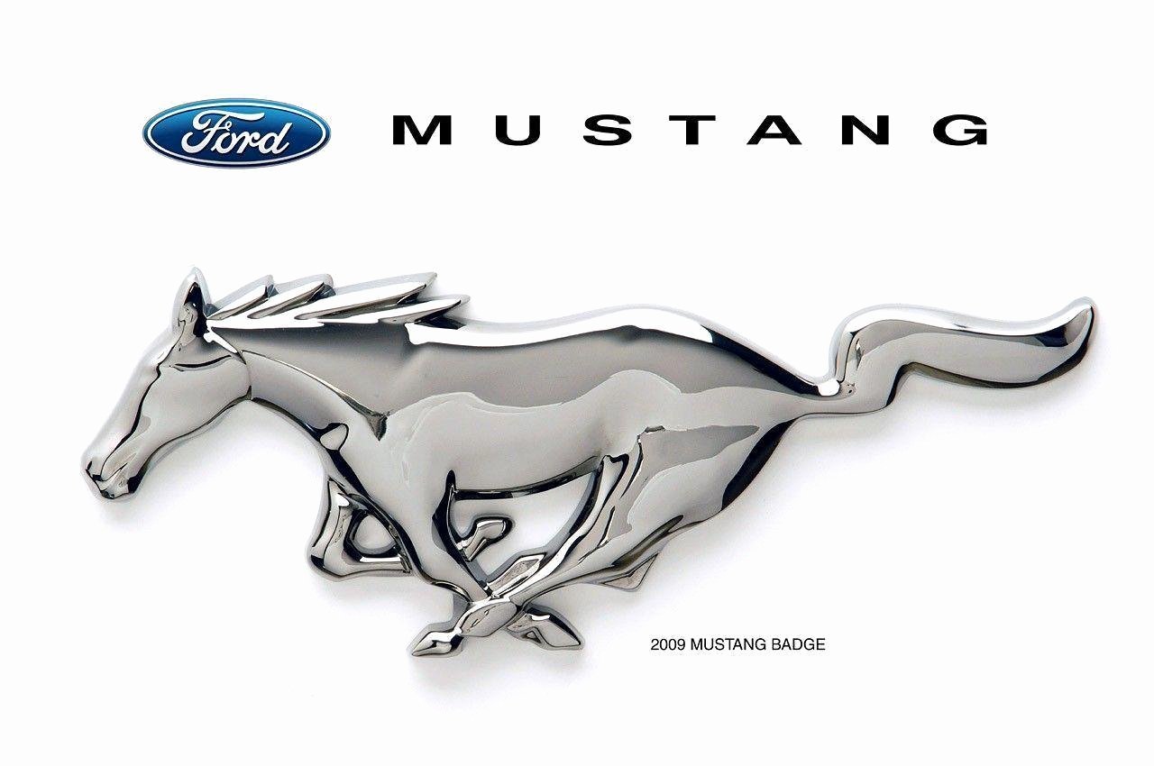 Ford Mustang Logo Vector Awesome ford Mustang Logo Wallpapers Wallpaper Cave