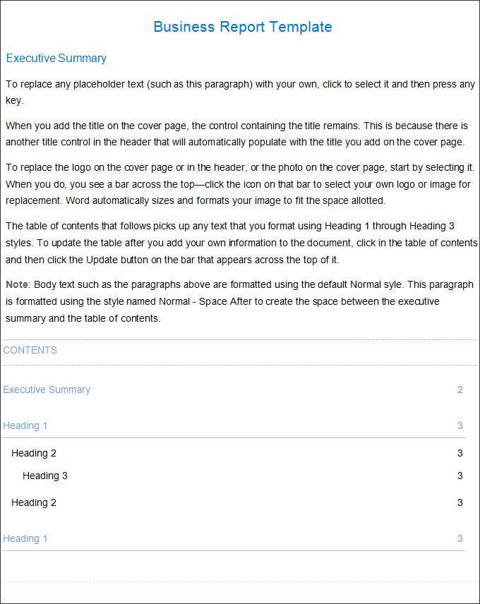 Formal Business Report Example Inspirational Business Report Template Business Report