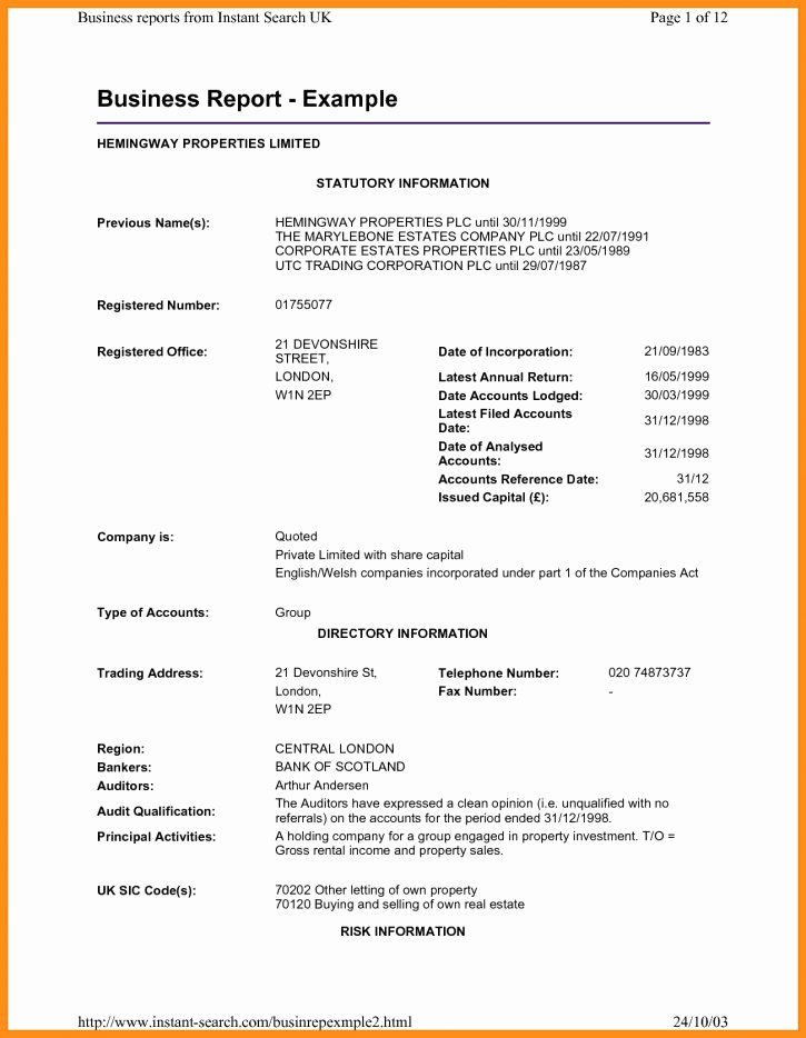 Formal Business Report Example Lovely Business Report format