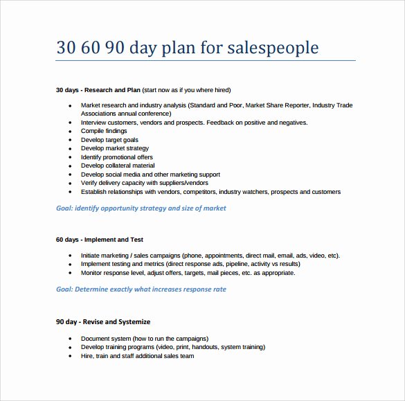 Free 30 60 90 Day Plan Template Word Elegant 20 30 60 90 Day Plan Samples Pdf Word