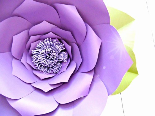 Free Cricut Paper Flower Template Luxury How to Make Giant Paper Flowers Step by Step Tutorial