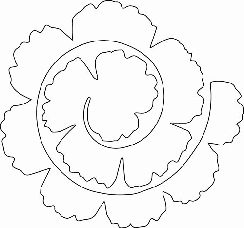 Free Cricut Paper Flower Template Luxury Tags Rolled Flower