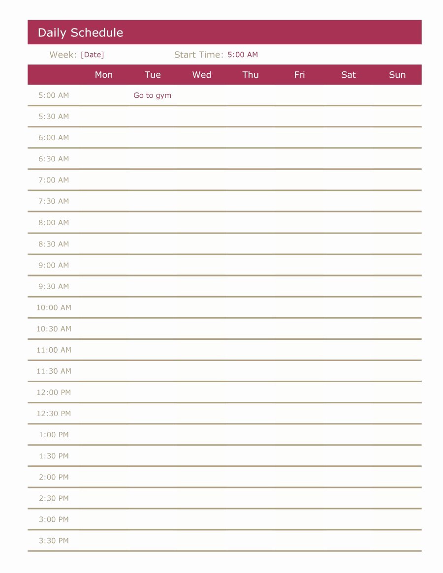 Free Daily Schedule Template Best Of 40 Printable Daily Planner Templates Free Template Lab