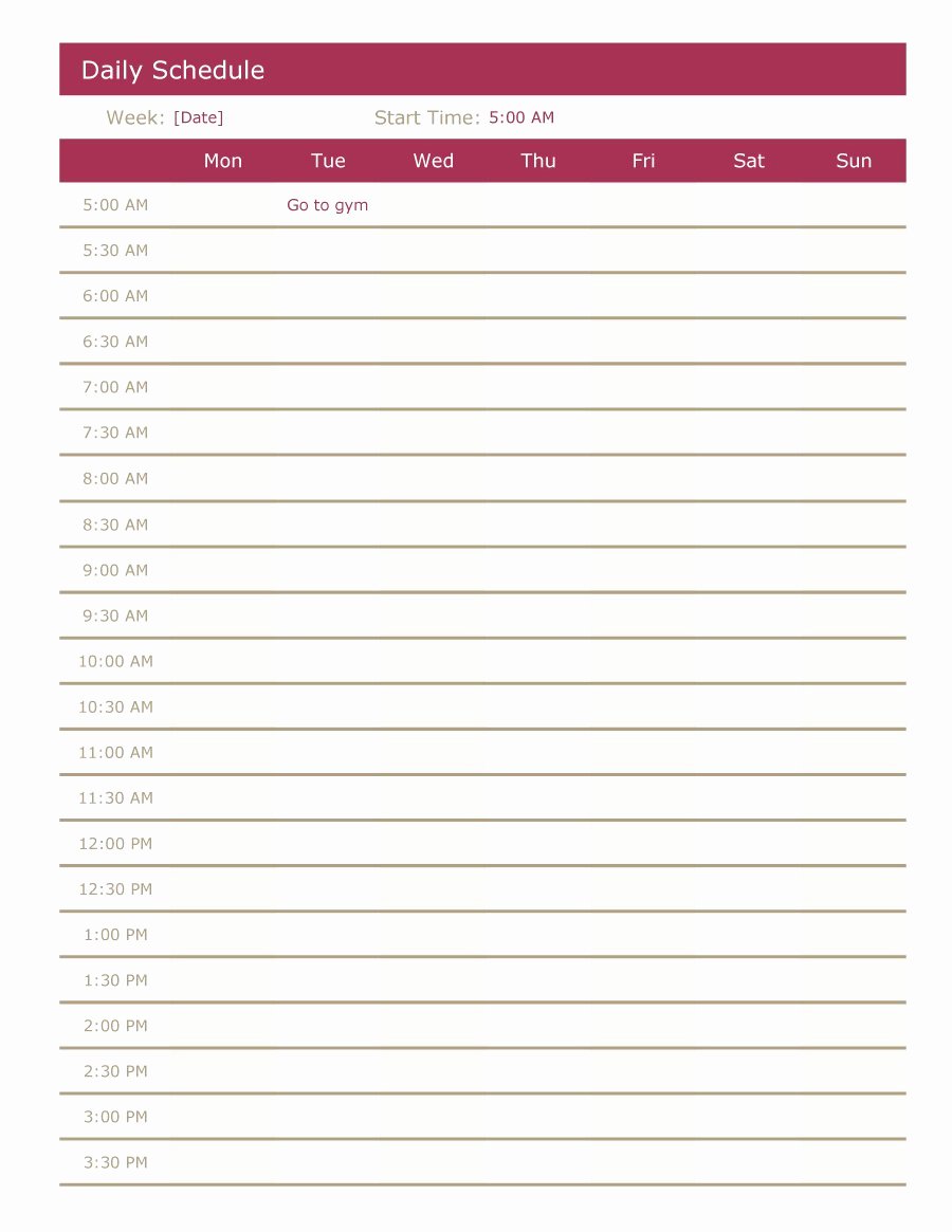 Free Daily Schedule Template