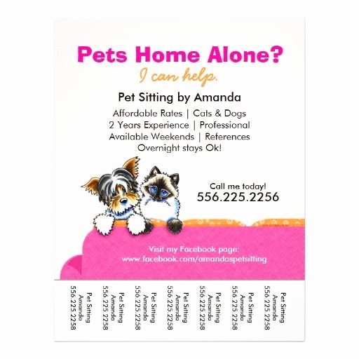 Free Dog Walking Flyer Template Beautiful Pet Sitter Ad Yorkie Cat Couch Pink Tear Sheet