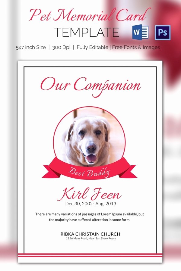 Free Memorial Cards Template Beautiful Pet Memorial Card 5 Word Psd format Download