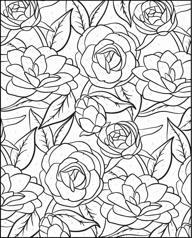 Free Paint by Numbers Templates Awesome Creative Haven Floral Designs Paint by Number Flower Blume