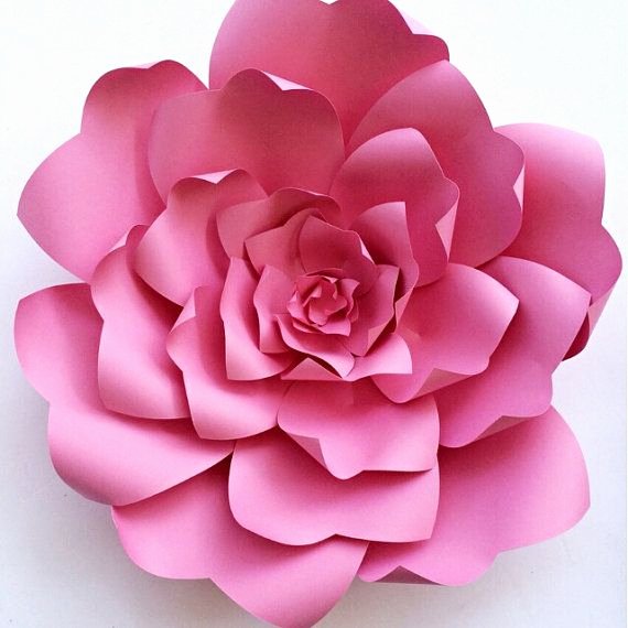 Free Paper Flower Patterns Fresh Paper Flower Tutorial Paper Flower Backdrop Paper Flower