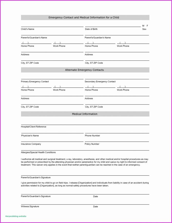 Free Patient Information form Template Luxury Fresh Chart format Ems