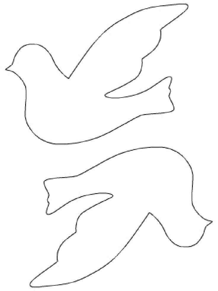 Free Printable Dove Template Awesome Best 25 Dove Outline Ideas On Pinterest