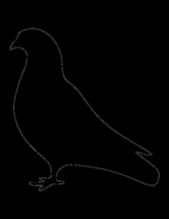 Free Printable Dove Template Fresh Printable Pigeon Template